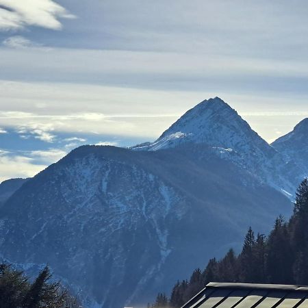 L' Antica Casa Di Maria Lilia Daire Pieve di Cadore Dış mekan fotoğraf