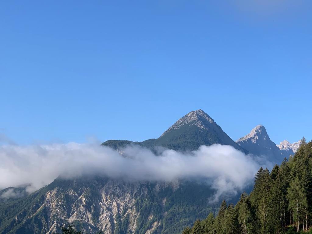 L' Antica Casa Di Maria Lilia Daire Pieve di Cadore Dış mekan fotoğraf